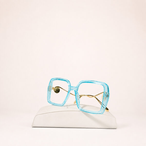 Monture optique simple