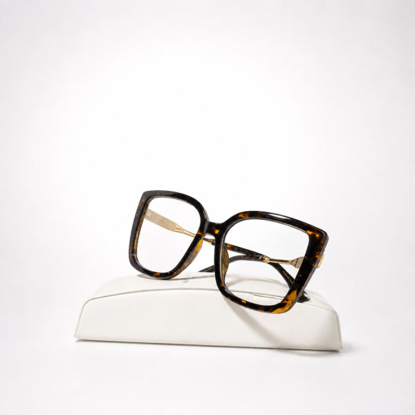 Monture optique simple