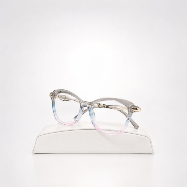 Monture optique simple